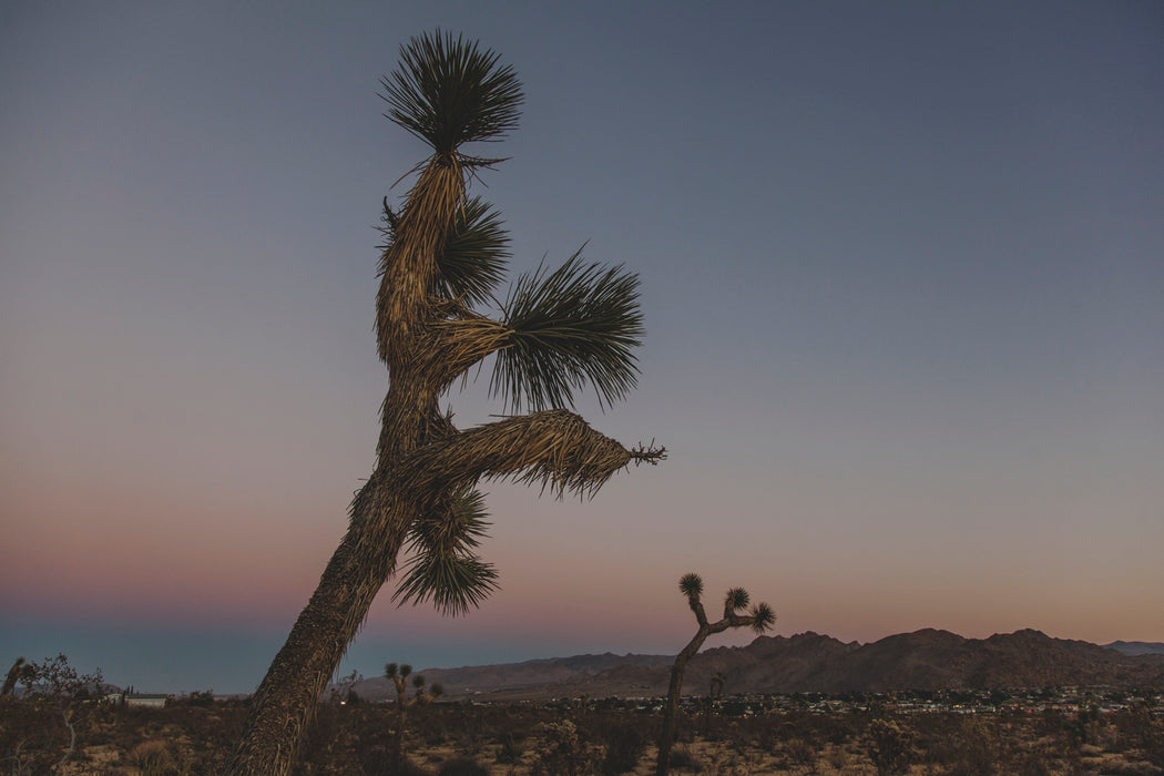 Carey Shaw Photography Prints - 11 x 14