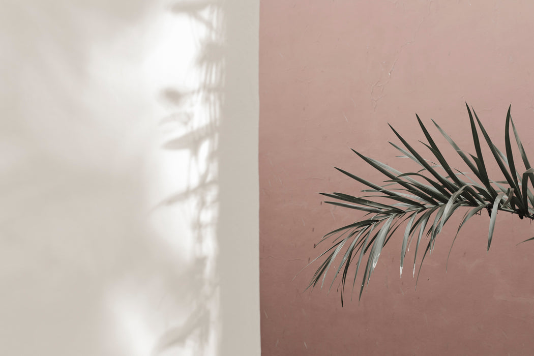 Carey Shaw Photography Prints - 11 x 14