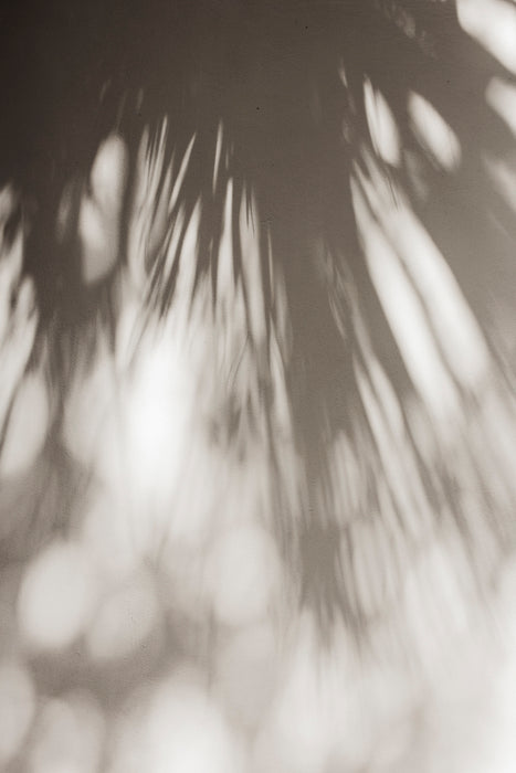 Carey Shaw Photography Prints - 11 x 14