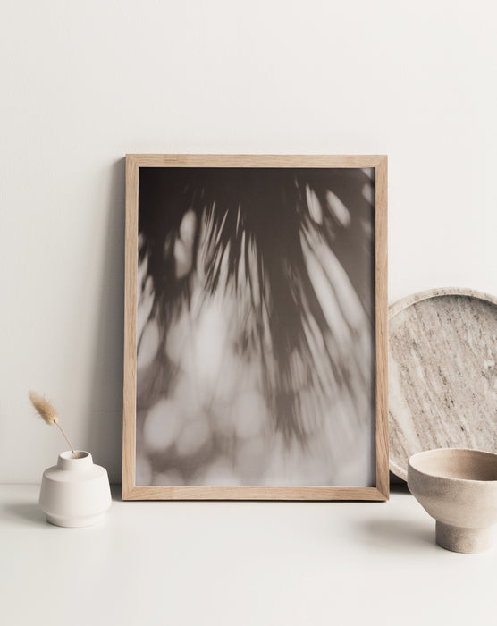 Carey Shaw Photography Prints - 11 x 14