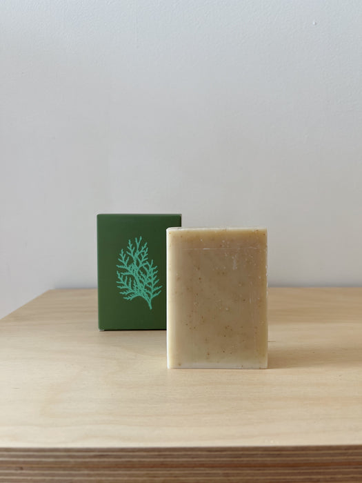 ALTR Rosemary & Cedar Soap