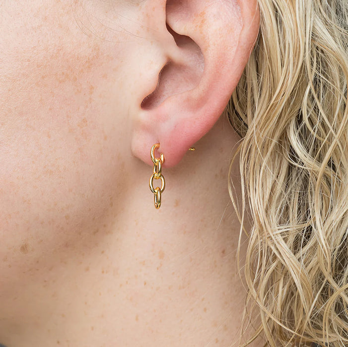 Hunt Of Hounds Chain Earrings