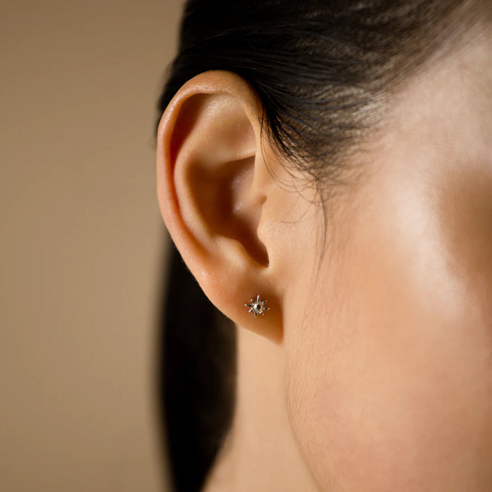 Hunt Of Hounds Celestial Stud Earrings
