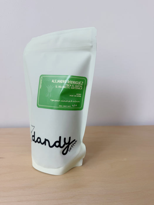Dandy Coffee - Alejandro Rodriguez Guatemala